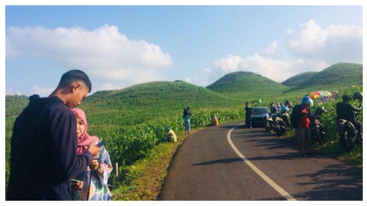 BUKIT TELETUBBIES - Cuma 20 Km dari Yogyakarta, wisata alam yang memikat dengan pemandangan indah dan udara sejuk, pas buat liburan Lebaran 2025.