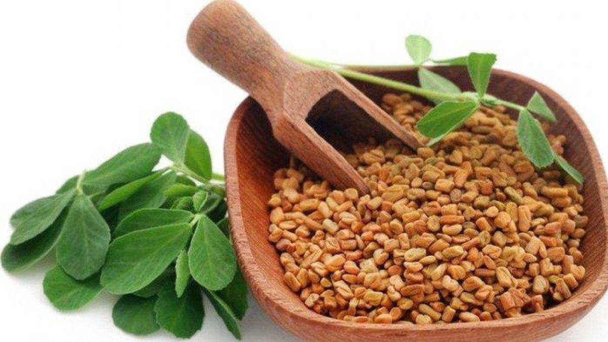 fenugreek untuk mengobati usus buntu