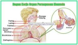 gambar 4 1