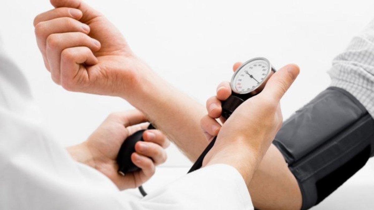 manfaat tanaman putri malu untuk mengobati hipertensi secara alami