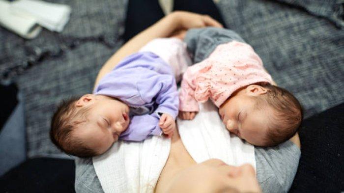 Ilustrasi bayi kembar baru saja lahir
