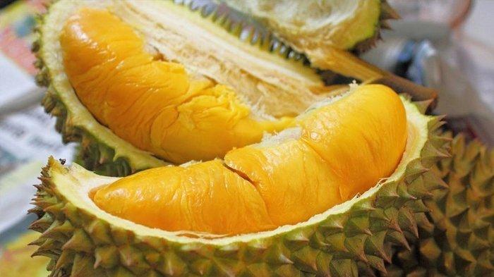 Ilustrasi durian yang dijual kakek Yamin.
