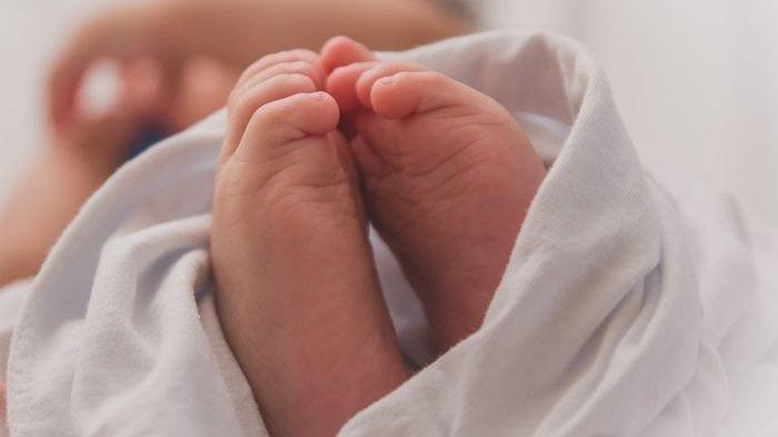 Ilustrasi bayi yang dilahirkan di pesawat Pelita Air.