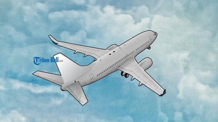 Ilustrasi pesawat
