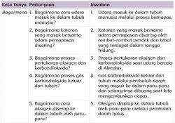 ini 16 4