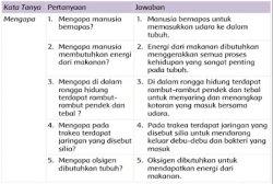 ini 16 5