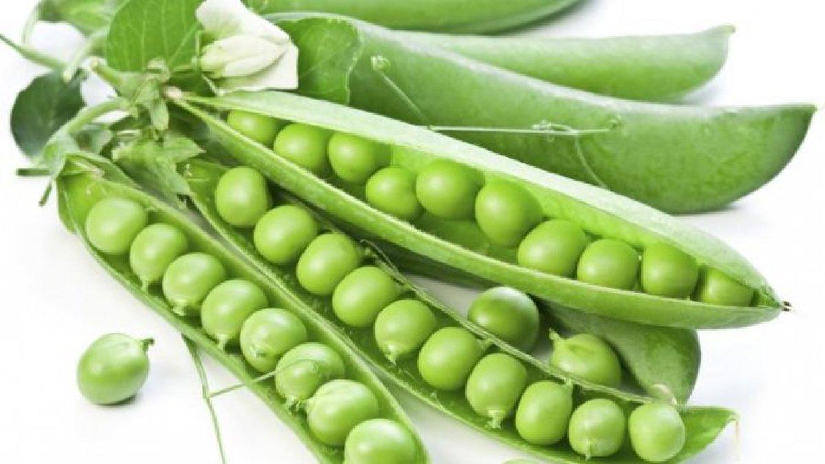 kacang polong untuk mengobati parkinson