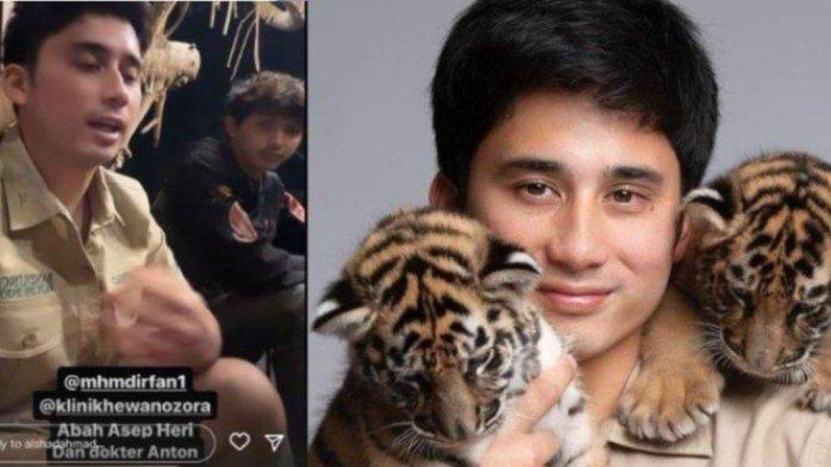 Kematian macan Alshad Ahmad yang ternyata misterius itu perlahan mulai terjawab, kini KLHK bertindak.