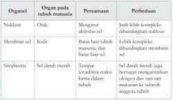 Kunci Jawaban IPA Kelas 8 Halaman 26 Kurikulum Merdeka


kunci jawaban IPA Kelas 8 Kurikulum Merdeka