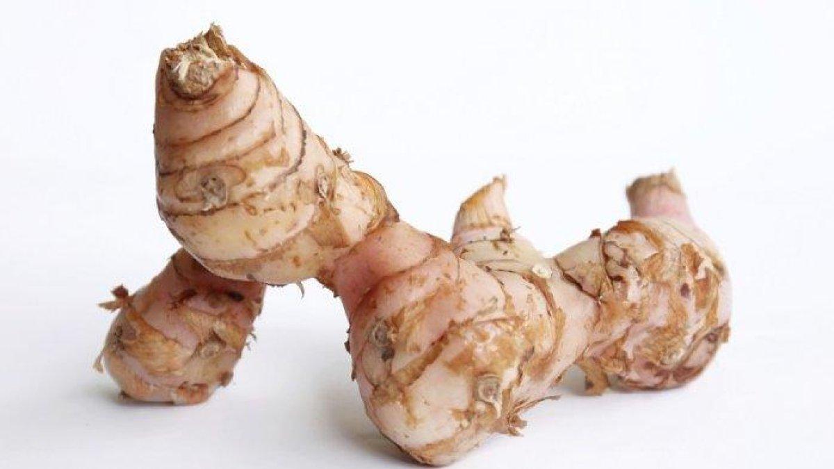 lengkuas untuk mengobati penyakit kulit akibat panas matahari