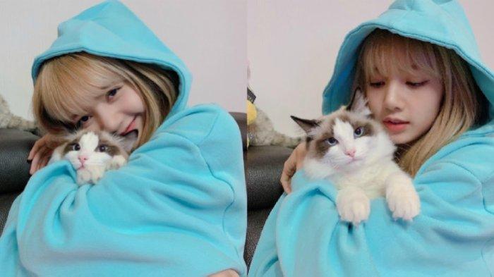 Lisa BLACKPINK dan kucing peliharaannya