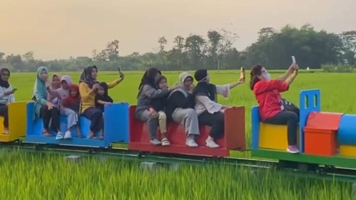OBYEK WISATA KLATEN: Pengunjung menikmati perjalanan dengan kereta wisata mini yang melintasi hamparan sawah hijau di Lokamerta Klaten