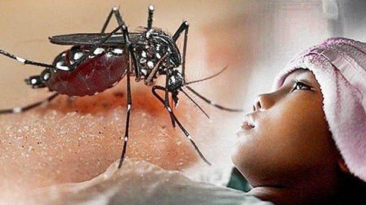 5 tips cara hindari malaria secara alami