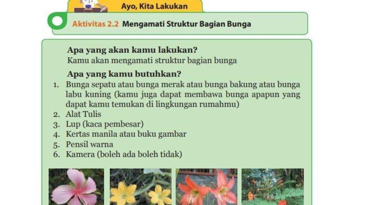 Simak kunci jawaban soal IPA Kelas 9, membahas tentang fungsi benang sari.
