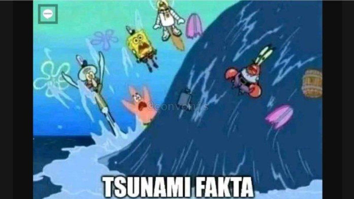 Meme yang kerap mengiringi bahasa gaul 'Tsunami Fakta'. Istilah ini sering dipakai para pengguna Twitter. Apa arti kata Tsunami Fakta?