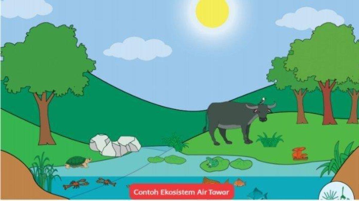 Simak kunci jawaban kelas 5 halaman 13,15,16, dan 17, mengulas ekosistem hutan.