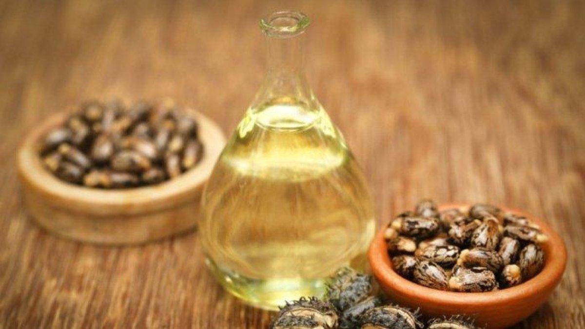 minyak biji jarak untuk mengobati hernia