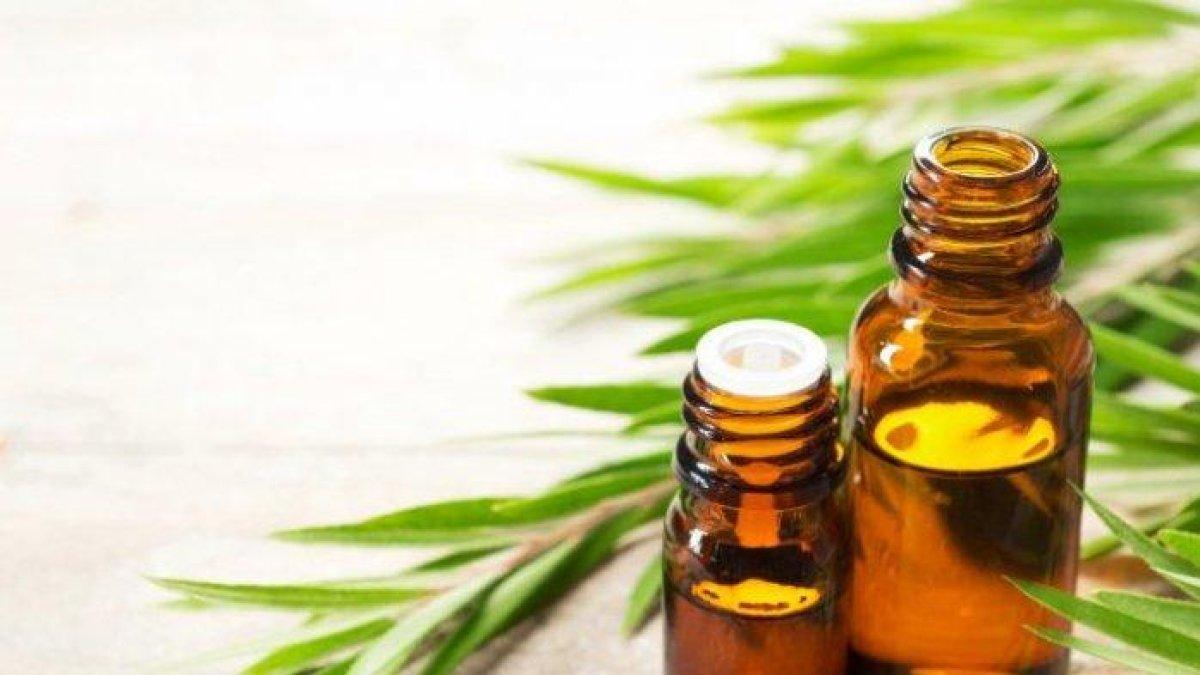 minyak esensial untuk menghilangkan bau kasur tanpa cuci