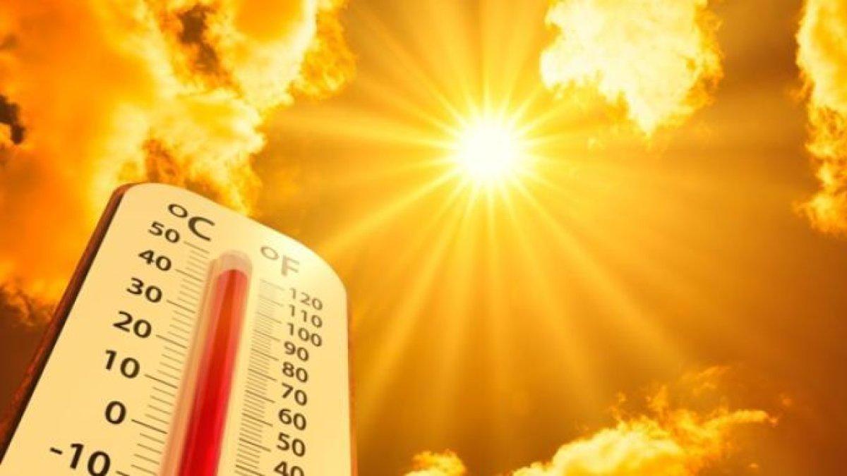 5 cara meajaga kesehatan saat musim panas