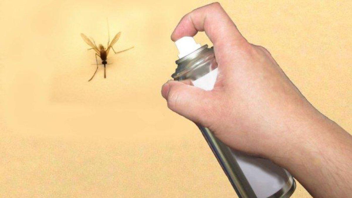 6 tanaman yang bisa mengusir nyamuk