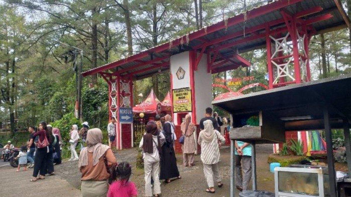 LIBUR LEBARAN - Suasana hutan Pinus Malino, Kabupaten Gowa di musim lebaran, Rabu (42/4/2025). Pengunjung berharap destinasi wisata di Malino dapat terjaga.
