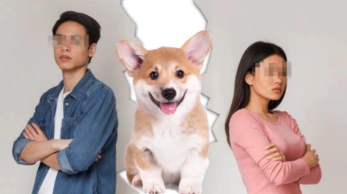 5 shio paling hobi rebutan