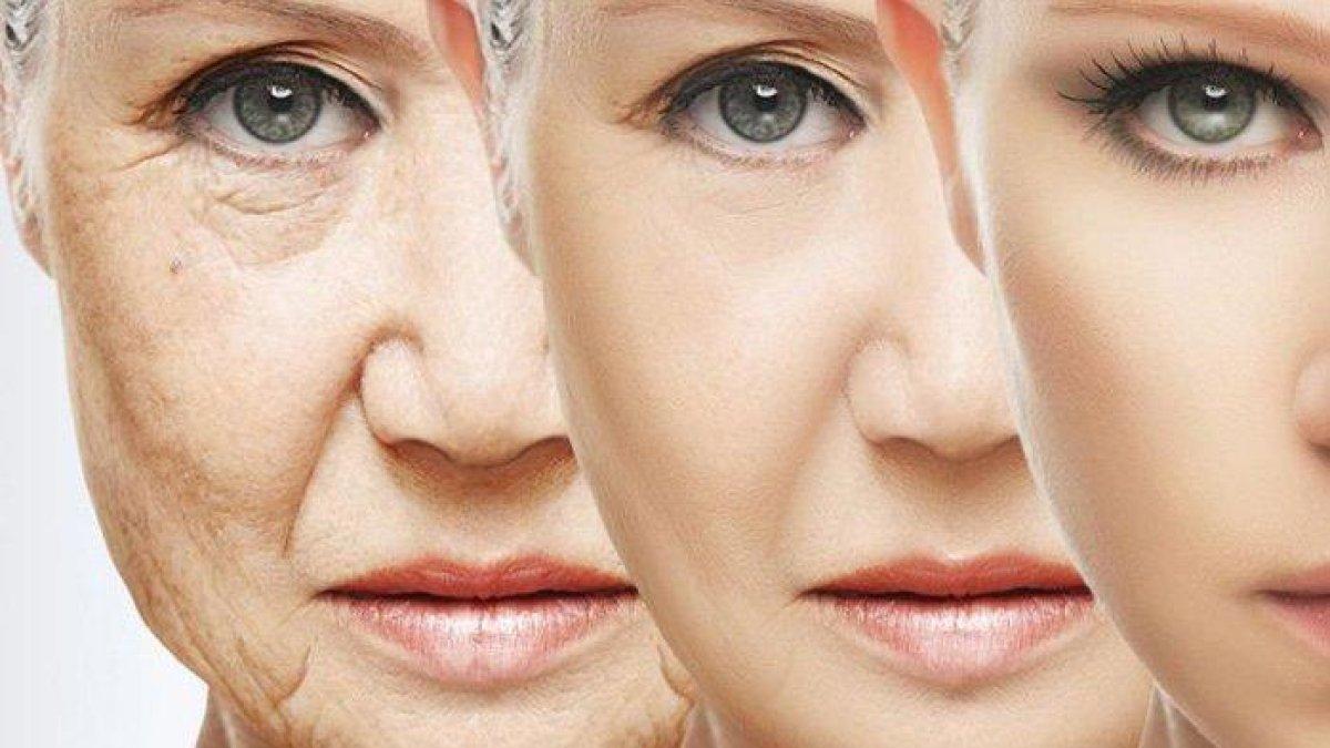 daun bidara untuk atasi penuaan dini