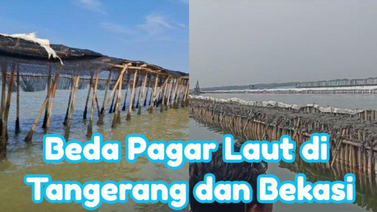 Berikut ini perbedaan pagar laut yang ditemukan di Tangerang dan Bekasi. Salah satu di antara keduanya ternyata punya fungsi positif.