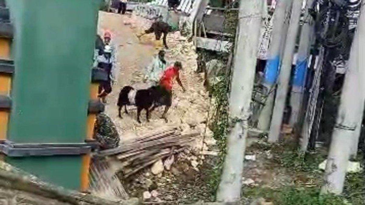 Prosesi penyembelihan wedus kendit di lokasi tanggul Sungai Wulan yang jebol.