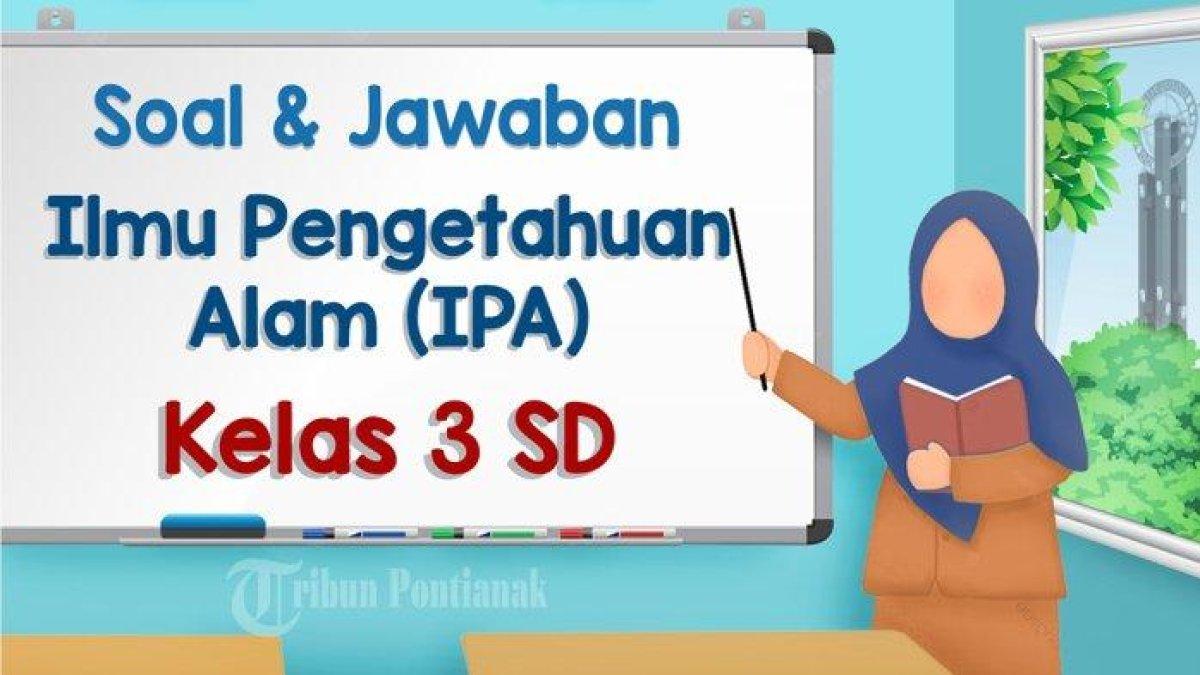 50 Kunci Jawaban Soal Ujian Akhir Semester 1 Ilmu Pengetahuan Alam ...