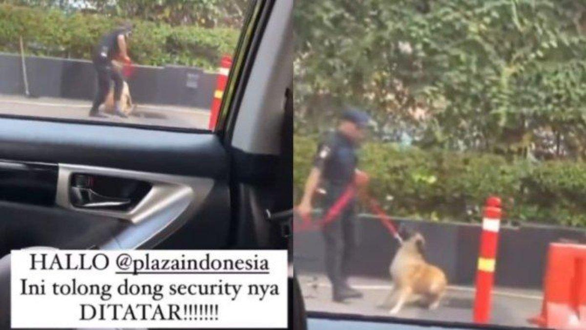 Tangkapan layar video satpam pukul anjing berakhir dipecat. (Instagram)