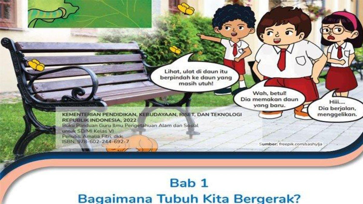 Kumpulan Kunci Jawaban Soal Ilmu Pengetahuan Alam dan Sosial Kelas 6 SD ...