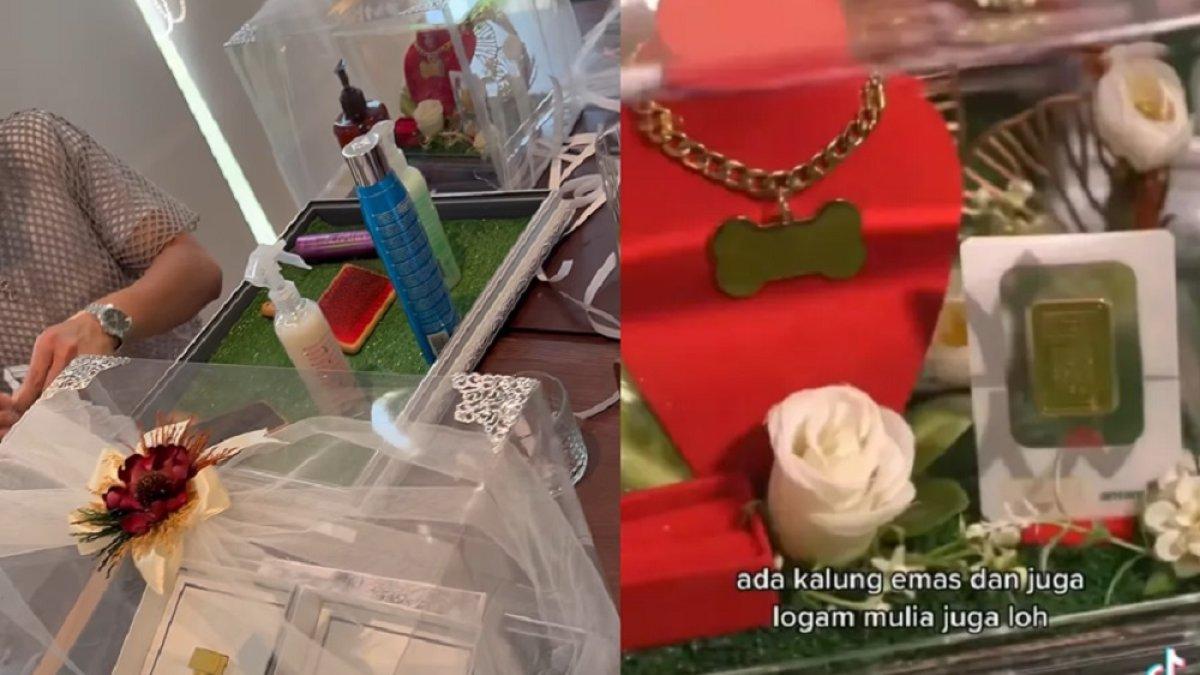 Seserahan pernikahan anjing Jojo dan Luna