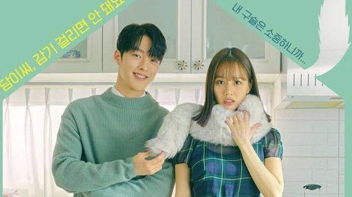 Sinopsis drama Korea My Roommate Is A Gumiho