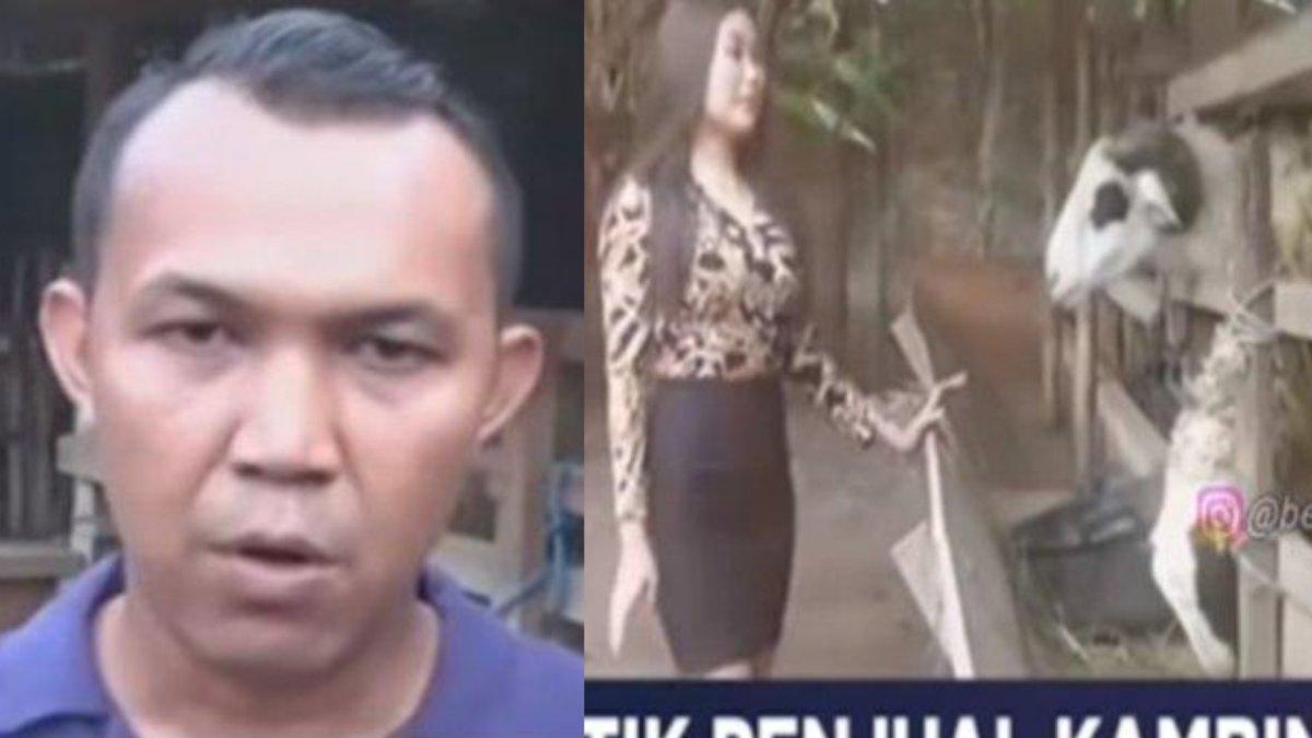 Inilah sosok penjual kambing yang pekerjakan SPG cantik, kini laris manis terjual ratusan ekor.