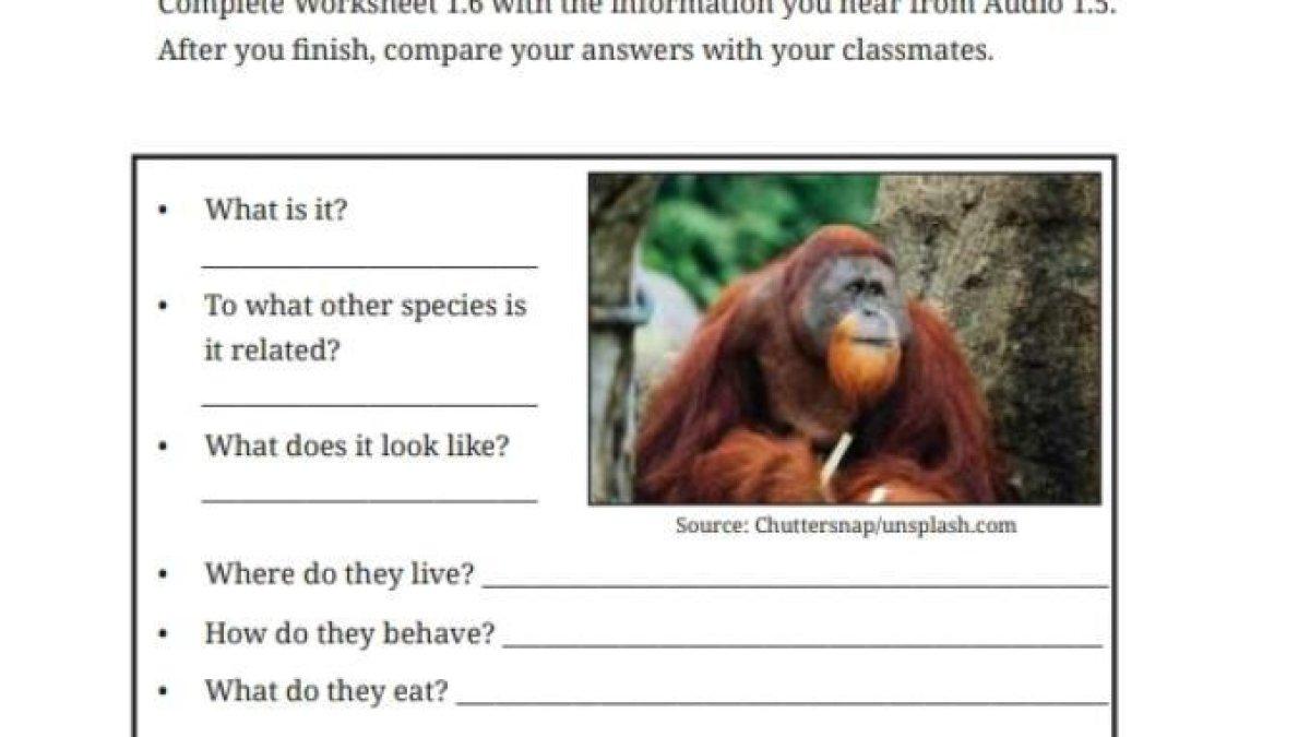 Simak Kunci Jawaban Soal Bahasa Inggris Kelas 9 SMP/MTs Halaman 39, Section 5 - Your Turn: Listening