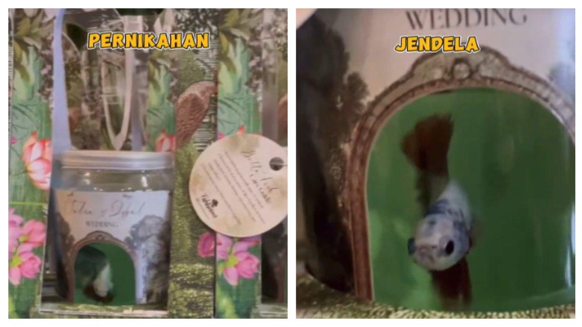 Souvenir pernikahan berbentuk ikan cupang ini jadi perbincangan di media sosial.