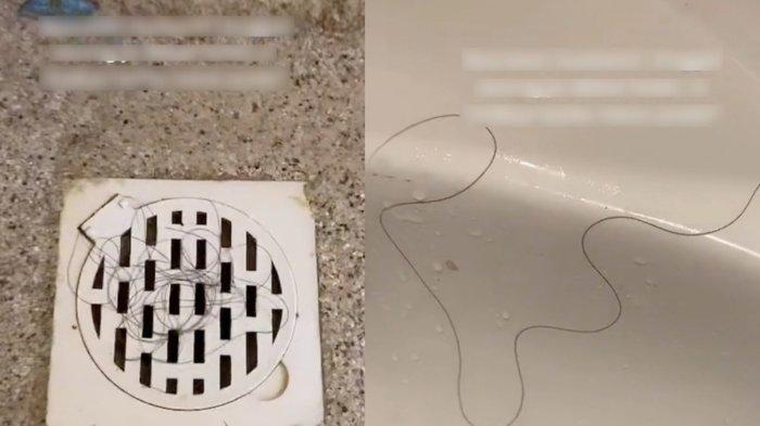 Segumpal rambut panjang di toilet