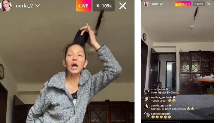 4 shio paling bikin mood booster