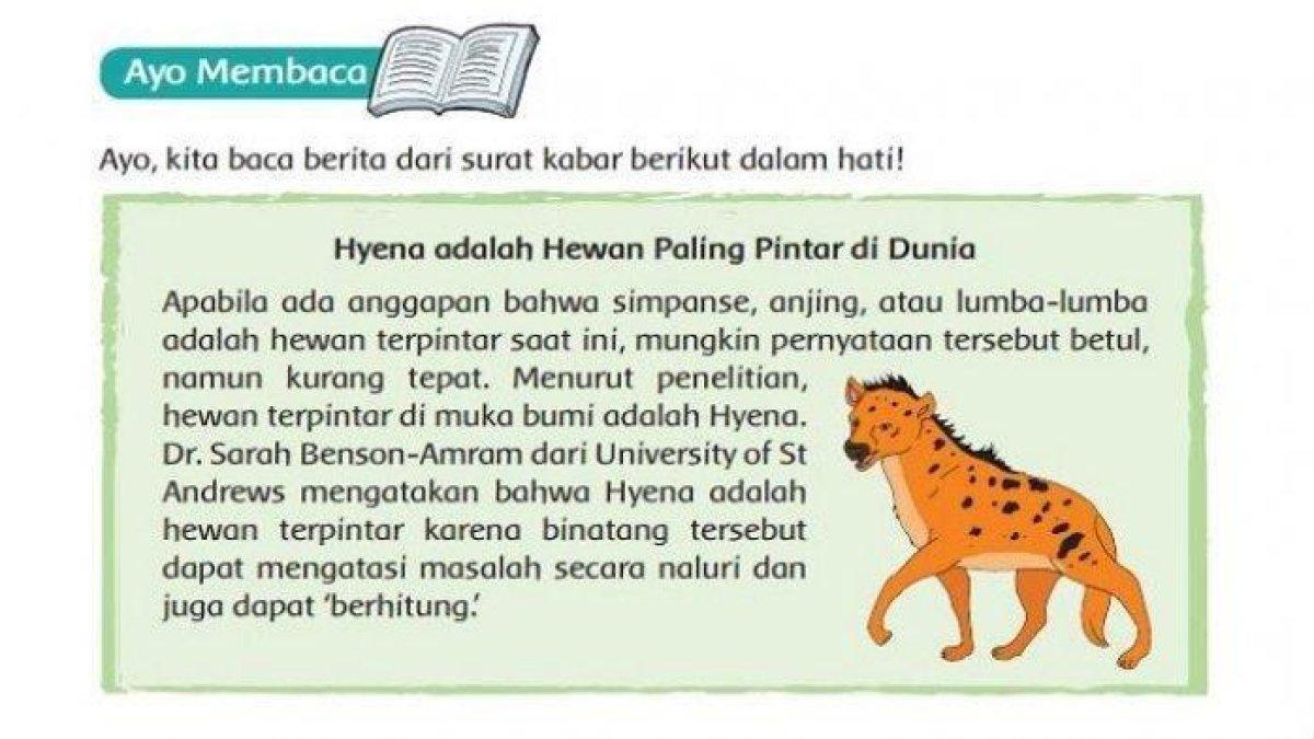 Simak kunci jawaban Tema 2 kelas 6, cara walang sangit menyesuaikan diri.