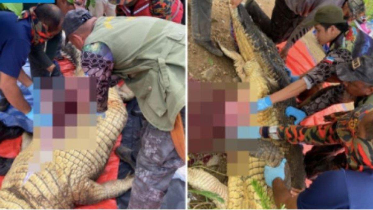 Tubuh seorang nelayan di Sabah, Malaysia ditemukan di dalam perut buaya