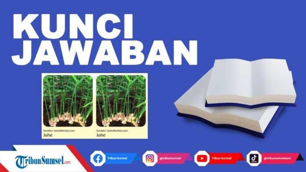 Simak kunci jawaban Tema 1 kelas 6 halaman 50, tumbuhan sumber kehidupan.