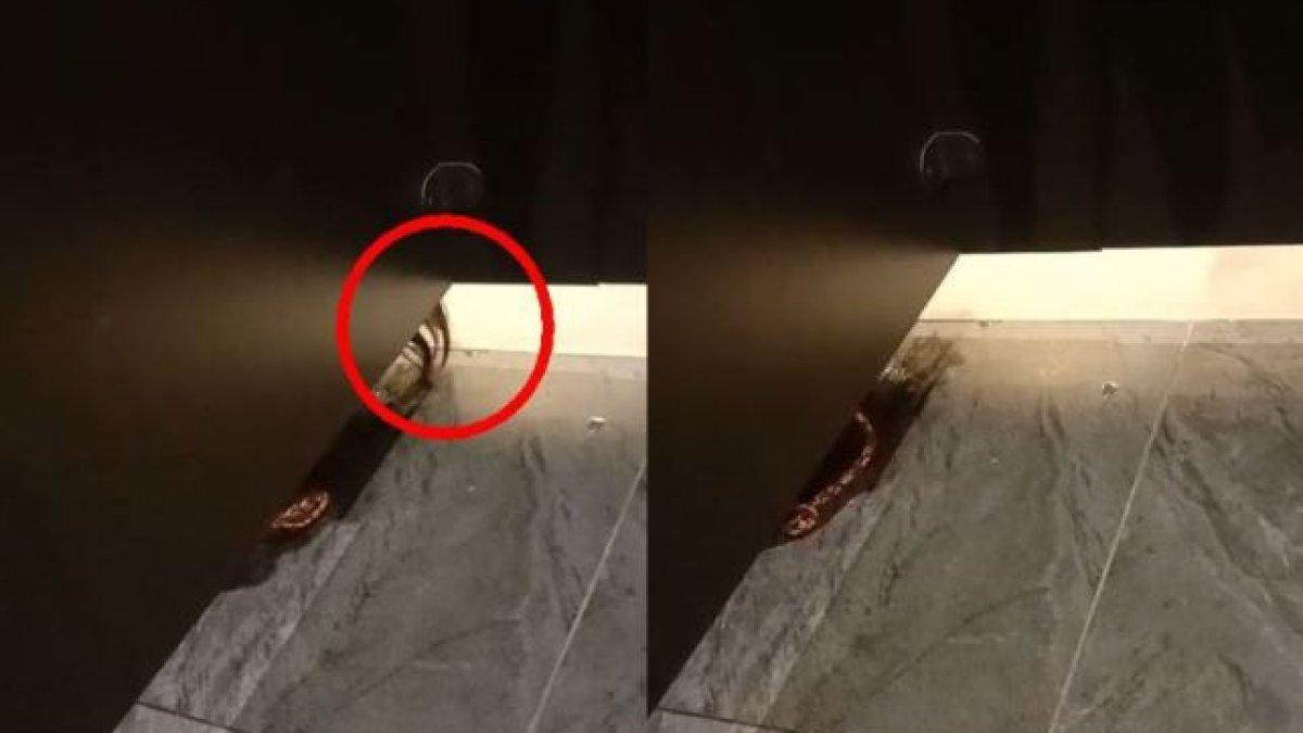 Wanita temukan kepala muncul dari bawah saat buang air kecil di toilet umum