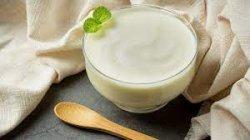 yogurt untuk mengobati panu