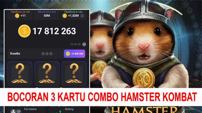 Комбо hamster kombat 31 июля