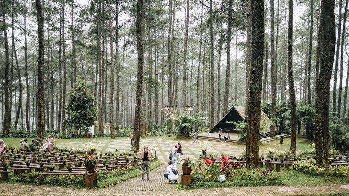 Orchid Forest Lembang