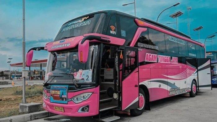 Raja Jalan Raya: Mengulas Beragam Jenis Bus Pariwisata Mitsubishi