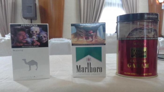 Foto Pack Rokok Riddle Gambar Mengerikan di Bungkus Rokok Bukan Pemicu Terjadinya PHK ...