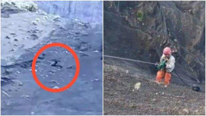 PENDAKI RINJANI JATUH - (Kiri) Tangkapan layar video pendaki Rinjani jatuh, Sabtu (21/6/2025). Pendaki tersebut merupakan JDSP (27) warga negara (WN) Brasil dan (Kanan) Petugas Tim SAR berupaya menolong korban.