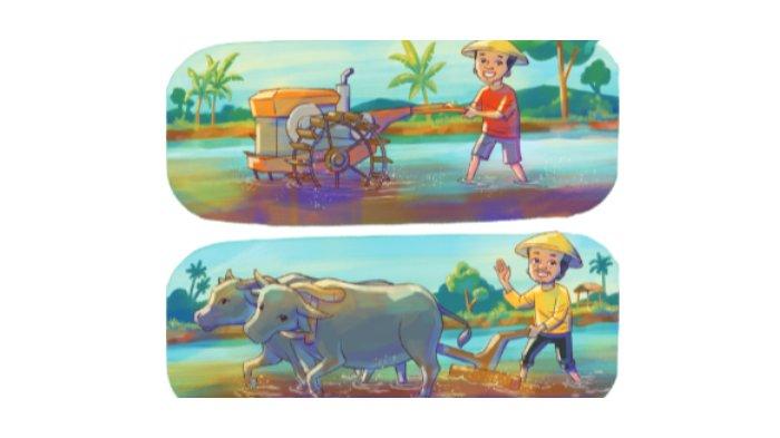 Bahasa Indonesia Kelas 3 SD/MI Kurikulum Merdeka Hal 87: Amati Dua Gambar Ini